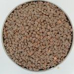 مصر موٹے 500گرام