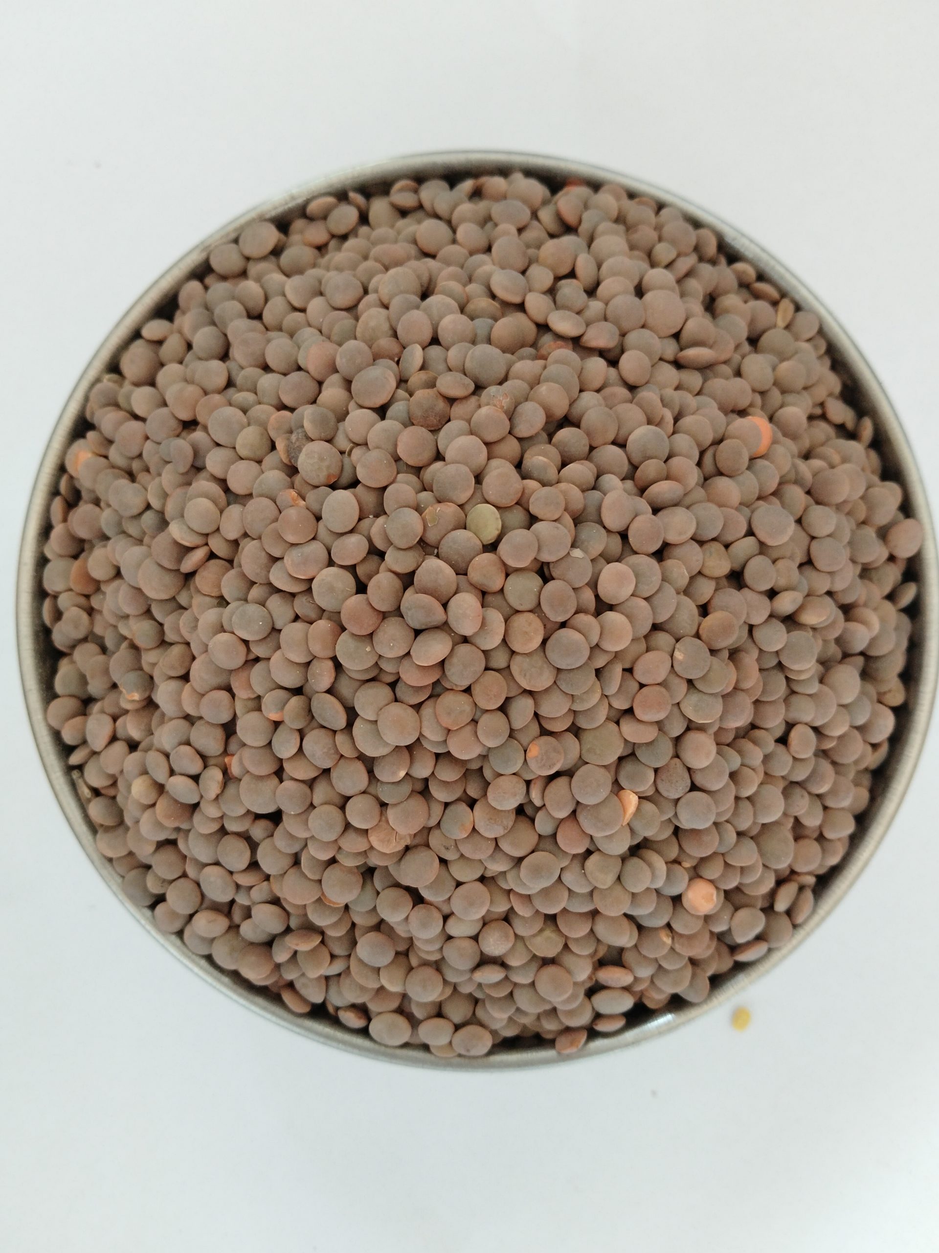 مصر موٹے 500گرام